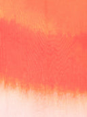 Alexander McQueen gradient-effect logo scarf