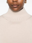 Fabiana Filippi Sweaters Powder