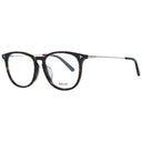 Brown Plastic Glasses (Frames)