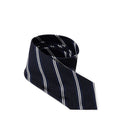 Gray Silk Ties & Bowty - Allure Absolue