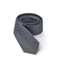 Gray Silk Ties & Bowty - Allure Absolue
