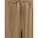 Brown Polyester Casual Pants