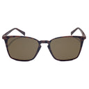 Brown Acetate Sunglasses