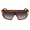 Brown Acetate Sunglasses